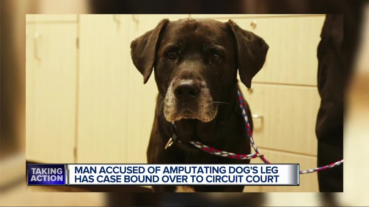 Man accused of amputating dog's leg has case bound over to Circuit Court