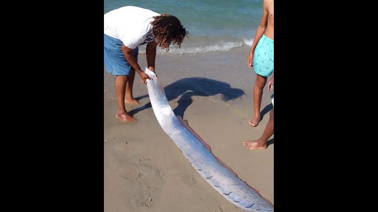 Ultra-rare 'longest fish in the ocean' dubbed ‘harbinger of earthquakes’ spotted