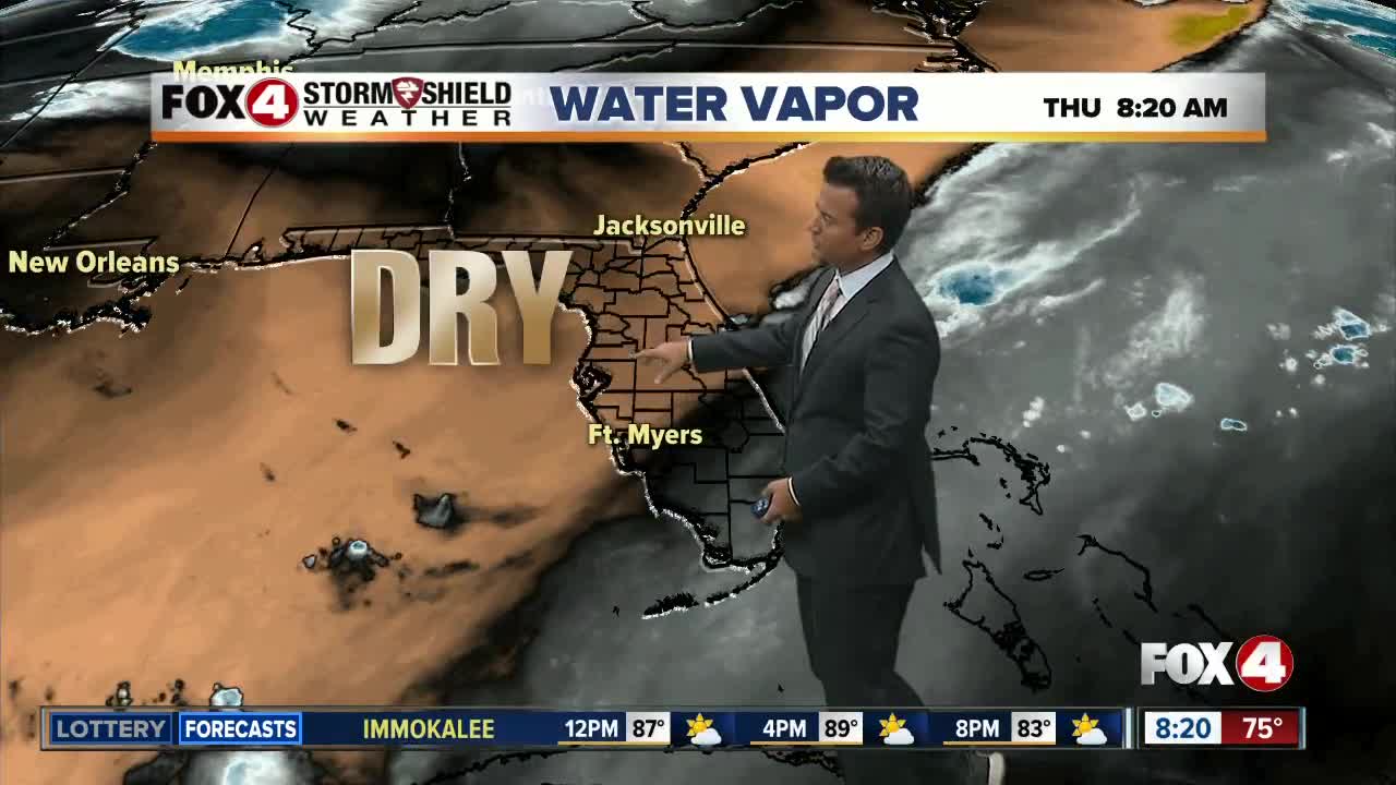 Showers and Storms Possible
