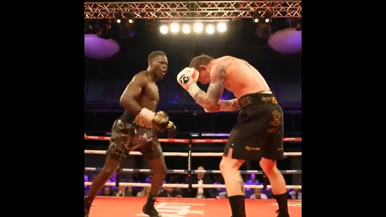 Hard hitter brutal knockout