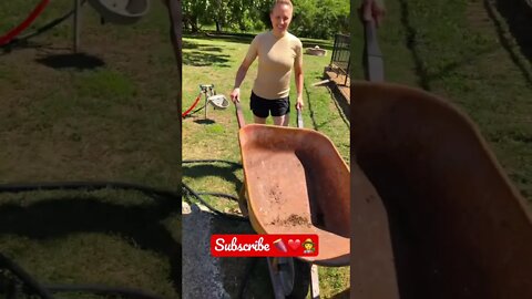 She Got these from only 1 bucket 🍠🍠🍠 #shorts #viral #trending #garden