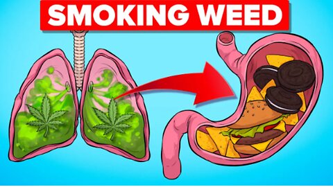 What Happens To Your Body When Smoking Weed