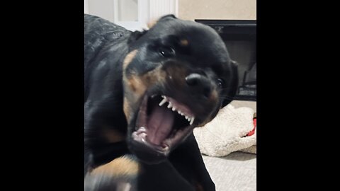 !!!WARNING!!!