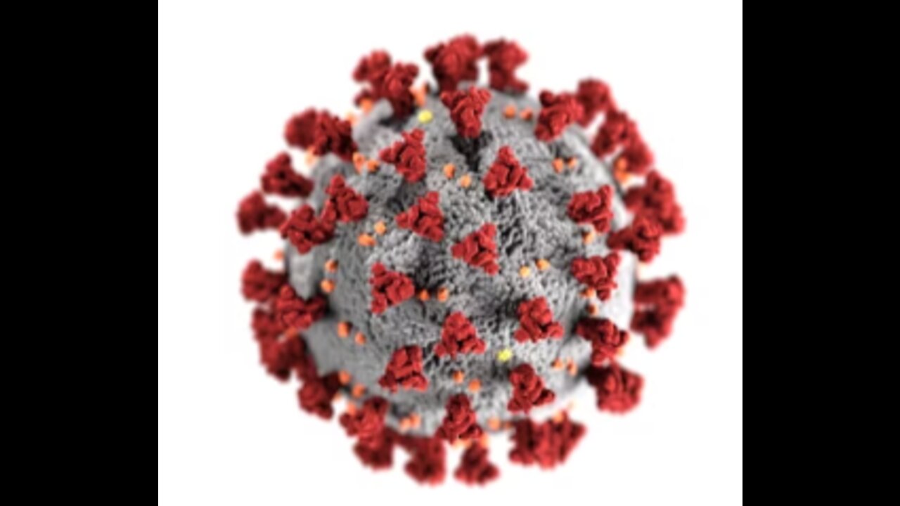 Crimes Against Humanity, It Was Once A Criminal Act