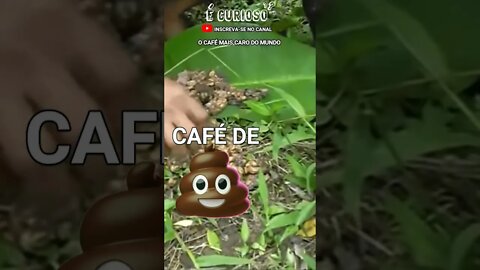 CAFÉ DE COCÔ DE GATO - O Café mais caro do mundo #shorts