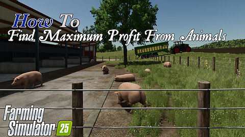 How To | Find Maximum Profit From Animals | Pigs | Farming Simulator 25