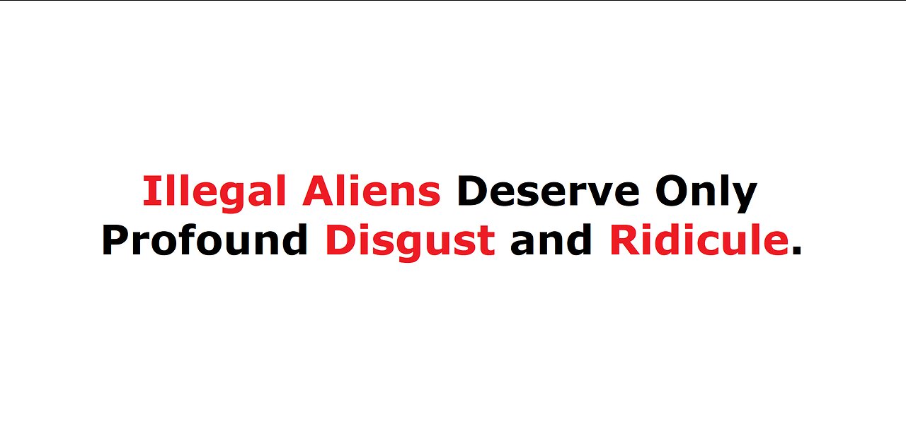 Illegal Aliens Deserve Only Profound Disgust and Ridicule.