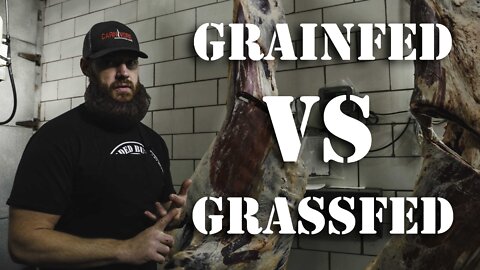 Grass Fed Beef vs Grain Fed Beef (What's the Difference) | The Bearded Butchers