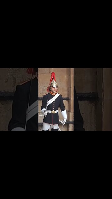 Keeping an eye on the tourist #horseguardsparade