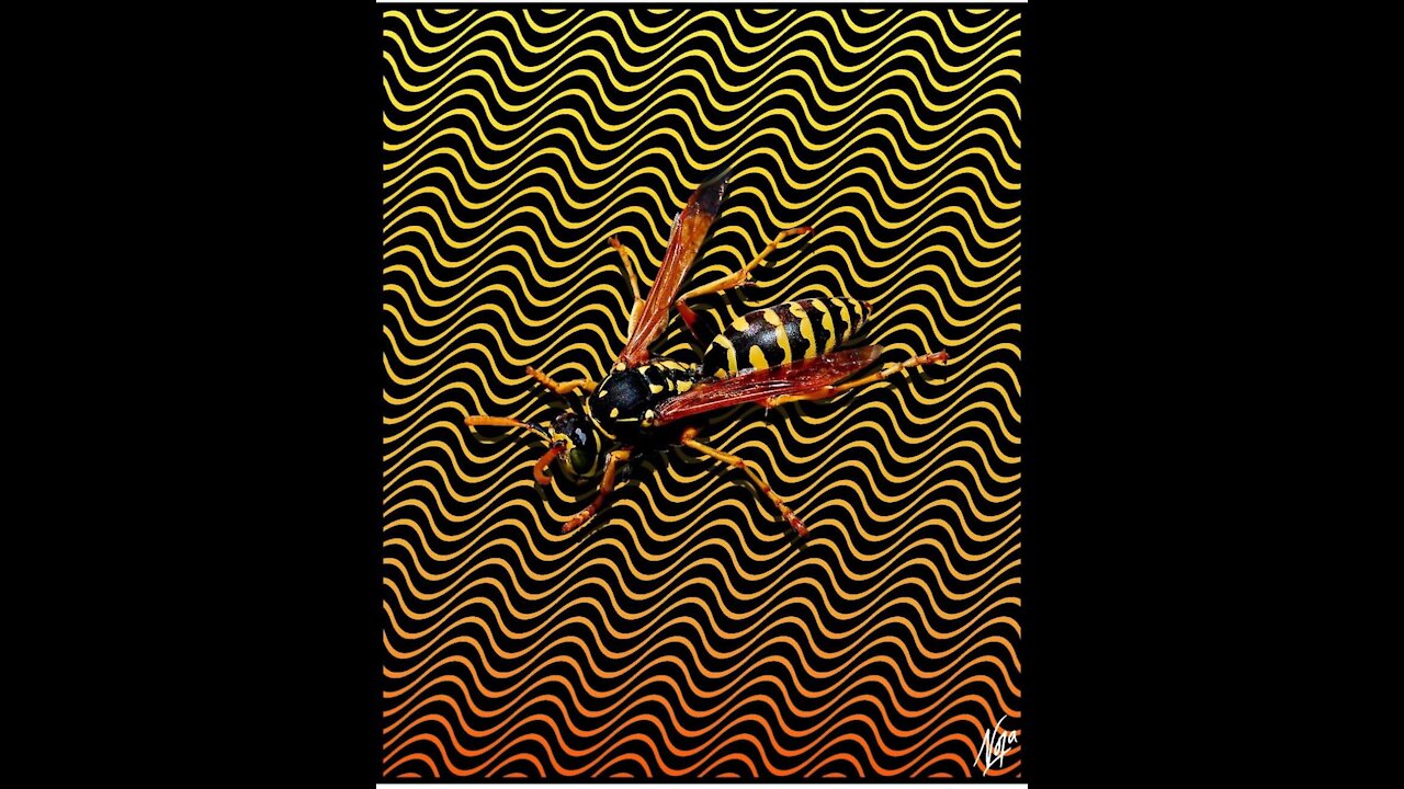 (607) SHADOW GOVERNMENT's DEEP STATE AGENDA - 7/5/2016