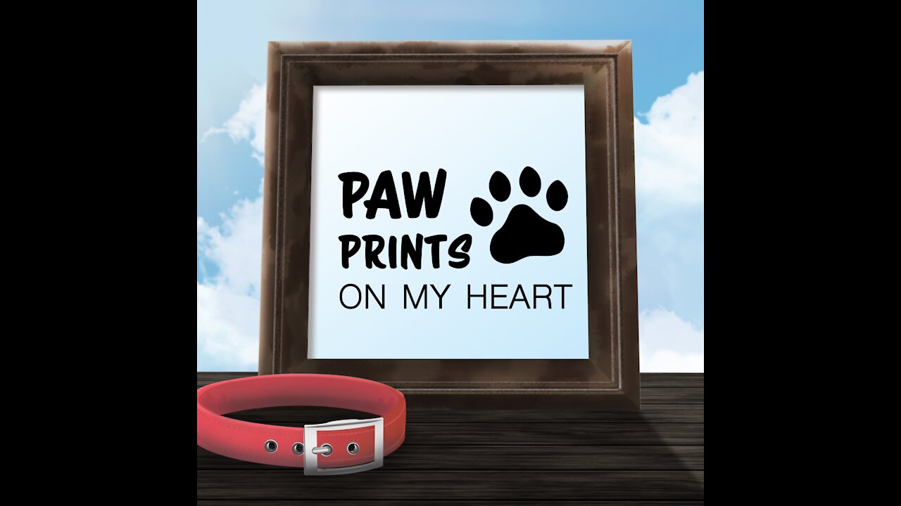 Paw Prints on My Heart [GMG Originals]