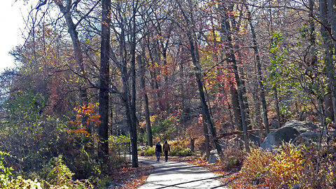 BEAR MOUNTAIN STATE PARK (PART 3)
