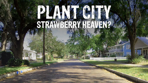 Riding my Honda Navi through the AGRICULTURAL SMALL TOWN in CENTRAL FLORIDA | PLANT CITY