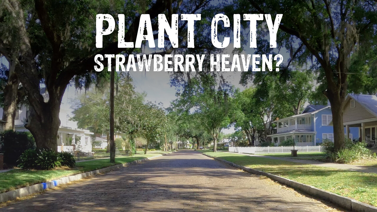 Riding my Honda Navi through the AGRICULTURAL SMALL TOWN in CENTRAL FLORIDA | PLANT CITY
