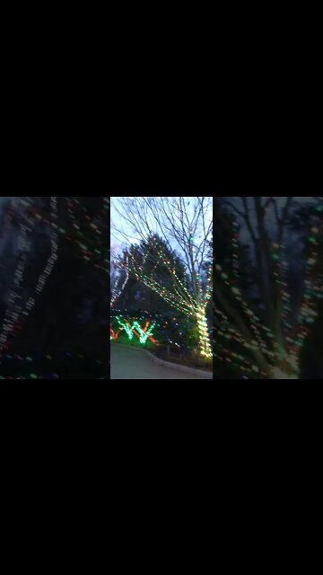 It's Amazing!! You Have To Go To Wildlights At The Columbus Zoo!!