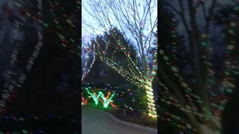 It's Amazing!! You Have To Go To Wildlights At The Columbus Zoo!!