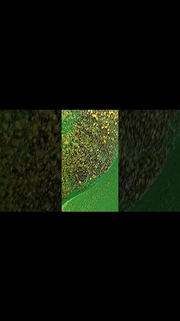 GOLD prospecting: Best hobby ever #findinggold