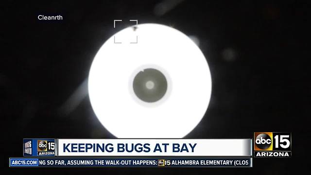 Buckeye men develop FlyLight to prevent pesky bugs