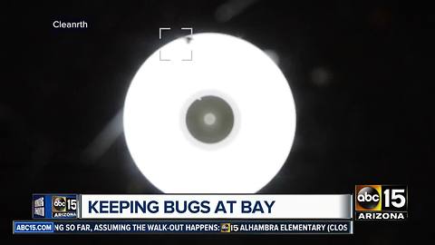 Buckeye men develop FlyLight to prevent pesky bugs