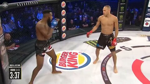 Best Men Kick Knockouts Ever in UFC - MMA Fighter