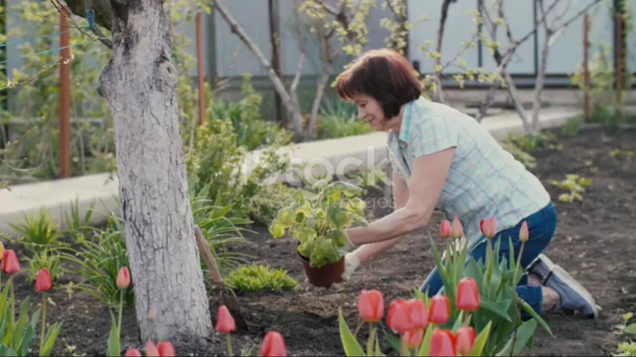 YASAR AND HIS MOTHER GARDEN