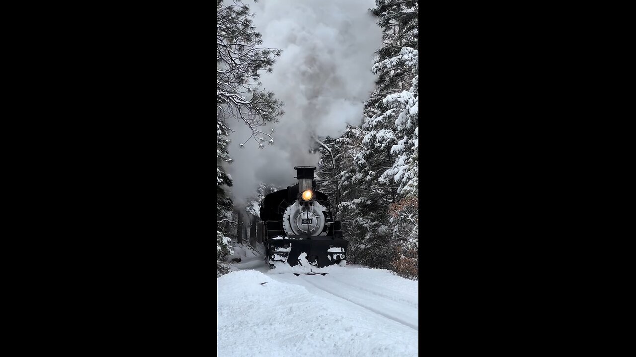 Train in Snow