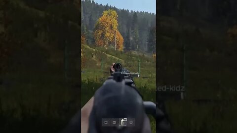 It Has to Be This Way | DayZ