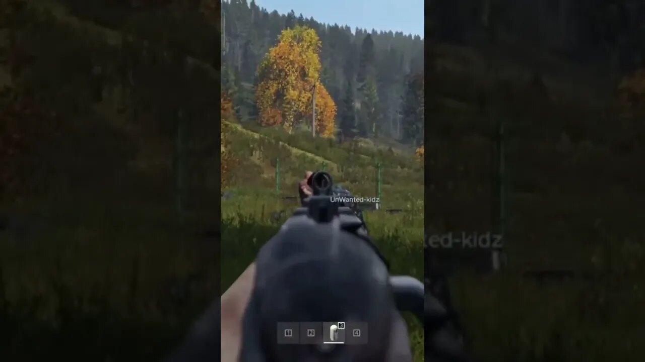 It Has to Be This Way | DayZ