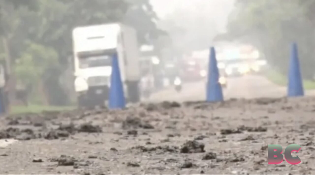 ‘Biblical’ plague of frogs, toads and tadpoles causes multi-car pile-up