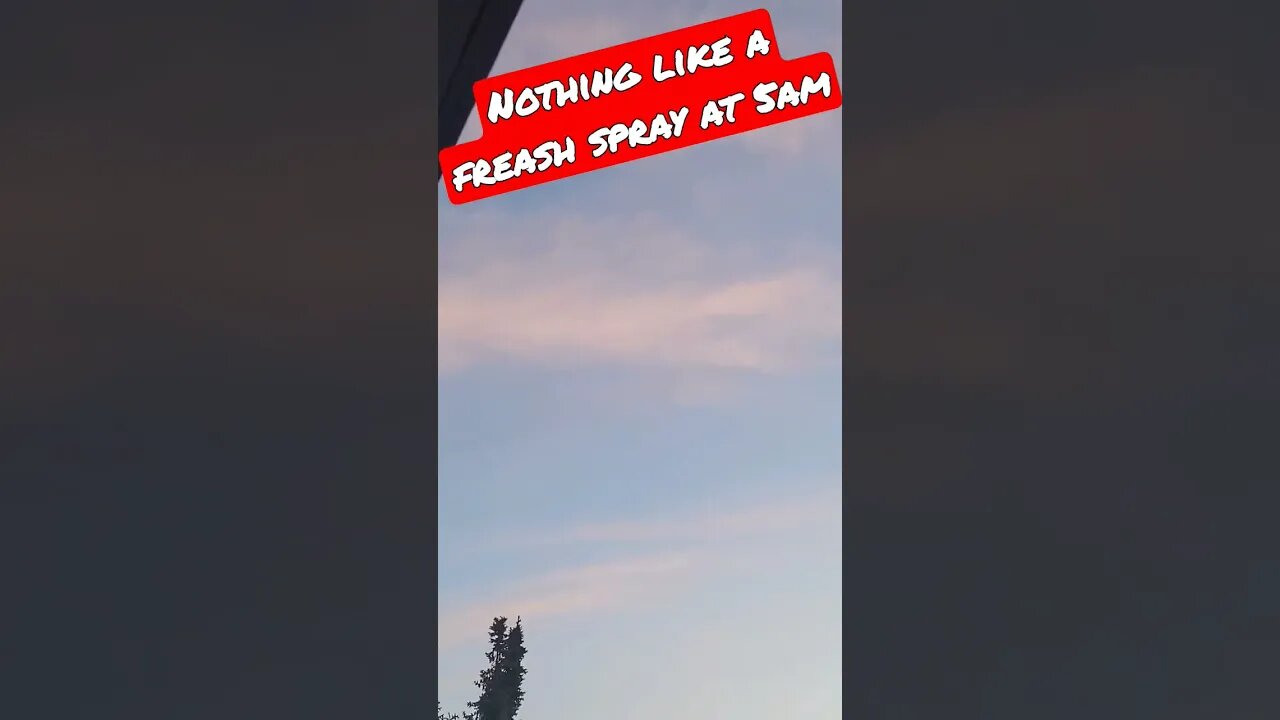 Spraying the city. Plane spraying. Chem spraying. #plane #chemicals #airplane #5am