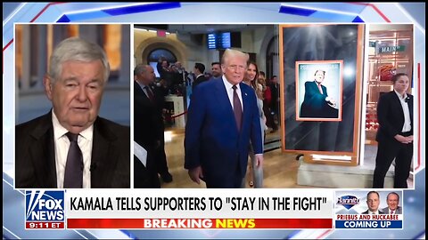I Don't Remember A Transition That Was Quite This Decisive: Newt