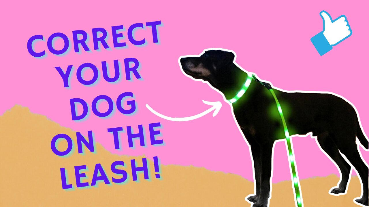 HOW TO SAFELY CORRECT YOUR DOG IN 10 MINUTES!