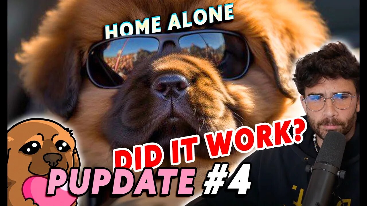 PUPDATE #4 | Kaya HOME ALONE... Did this work out for Hasan?