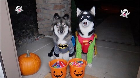 Would You Take YOUR KIDS Trick-Or-Treating In The Middle Of A Deadly Plague? LIVE! Call-In Show!