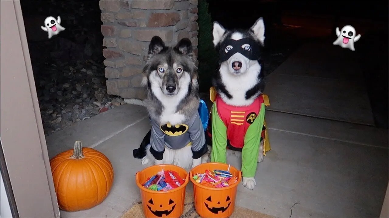 Would You Take YOUR KIDS Trick-Or-Treating In The Middle Of A Deadly Plague? LIVE! Call-In Show!