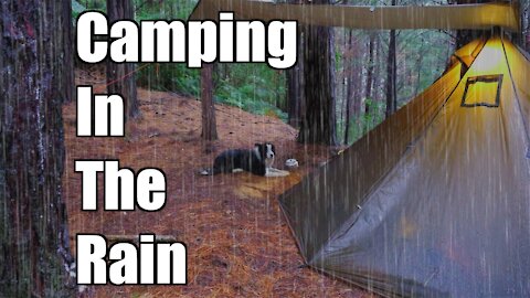 Camping in the Rain in a Tent with my Dog