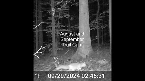 August and September Critter Cam with Eerie Surprises