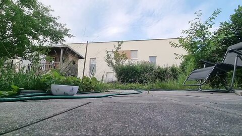 Highlight 9:05:59 – 9:10:59 von Silent Long LIVE for wh update in the garden #ghitatravel @GeorgeLTV