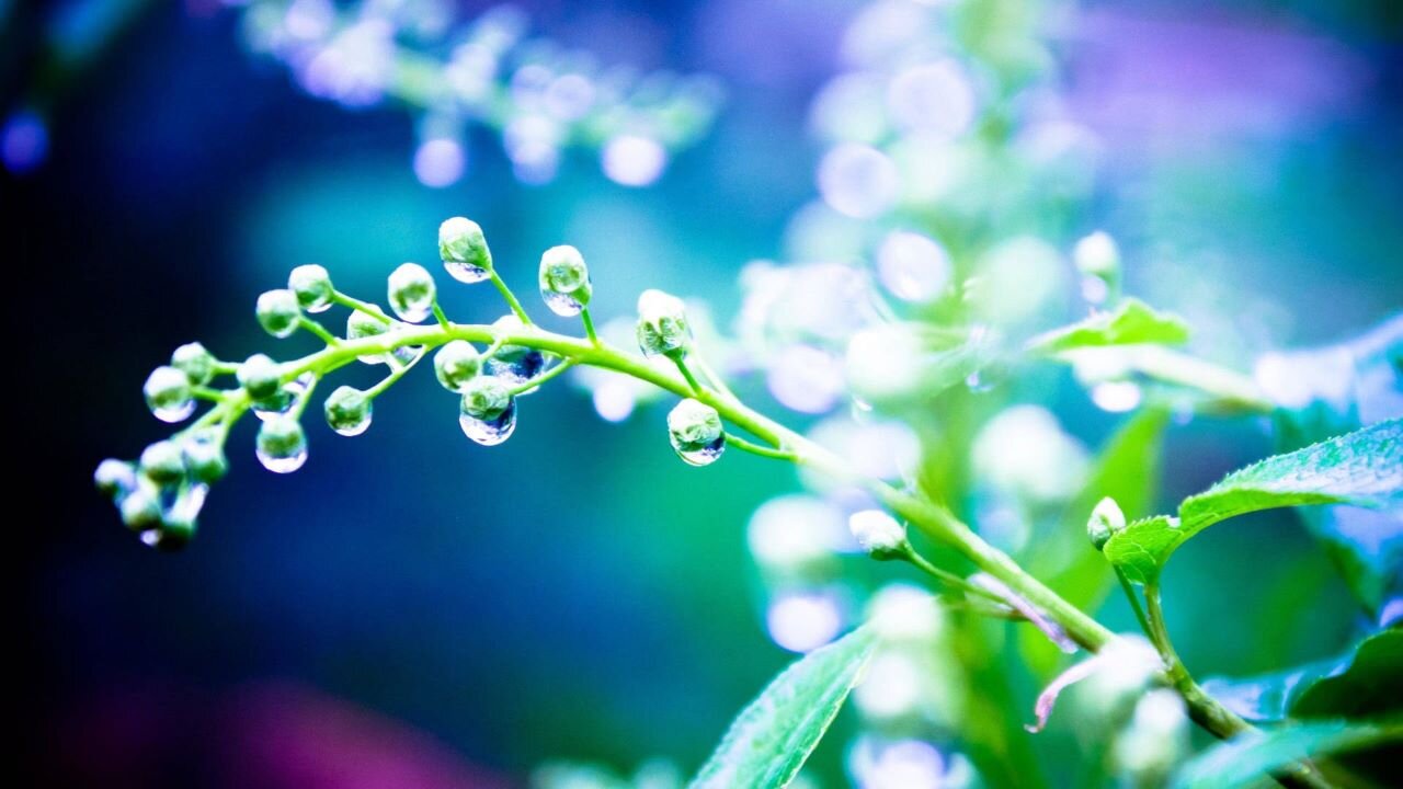 SOUNDS OF HEAVY RAIN AND THUNDERSTORMS TO SLEEP DEEPLY