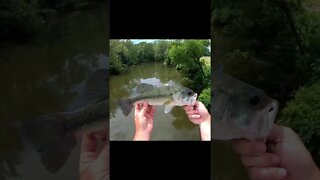 Train track bridge fishin mission!!!