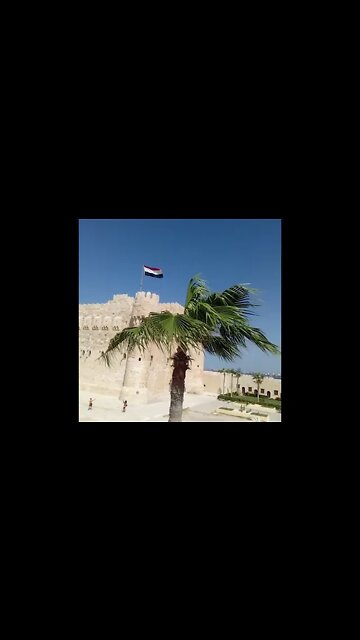 Watch These Palm Trees Surrounding That Historical Citadel