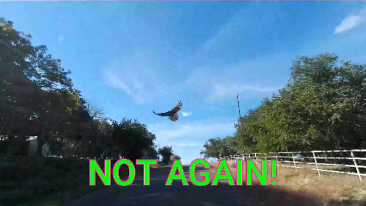 NOT AGAIN!