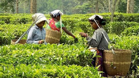 PART2-ITS FINALLY HERE,KENYAN WOMEN SPEAK ON SEX FOR WORK