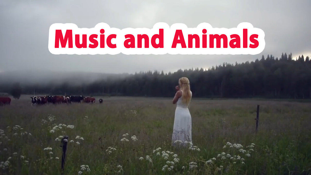 Music and animals