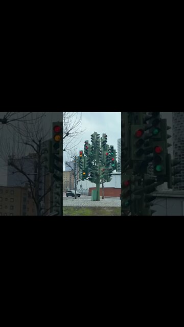 Amazing and Trending videos on YouTube 2022