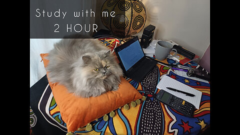 2 HOUR | STUDY WITH ME | Day: 13 ○ cat 🐈 purrs ○