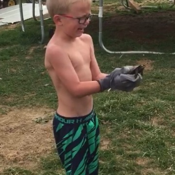 A Little Boy Doesn't Understand How To Hold A Turtle