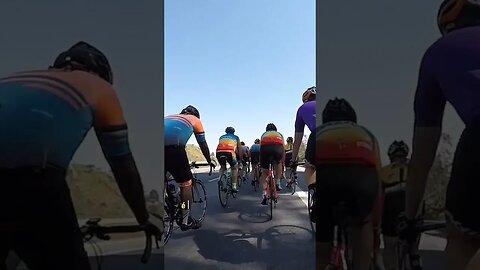 A decisão é sua. #ciclismo #ciclismodeestrada #pedaldigital #eddymerckx