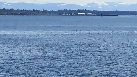 Ocean View From White Rock