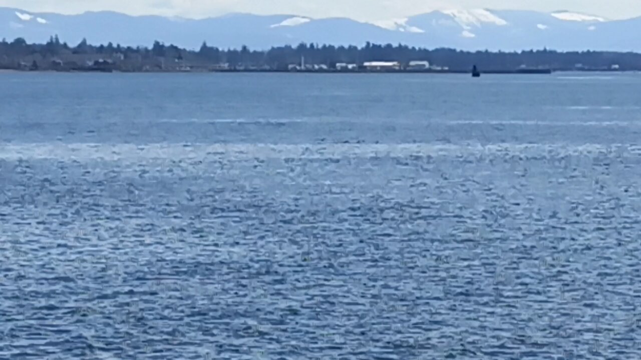 Ocean View From White Rock